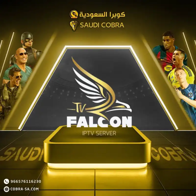 اشتراك FALCON فالكون - 1 شهر